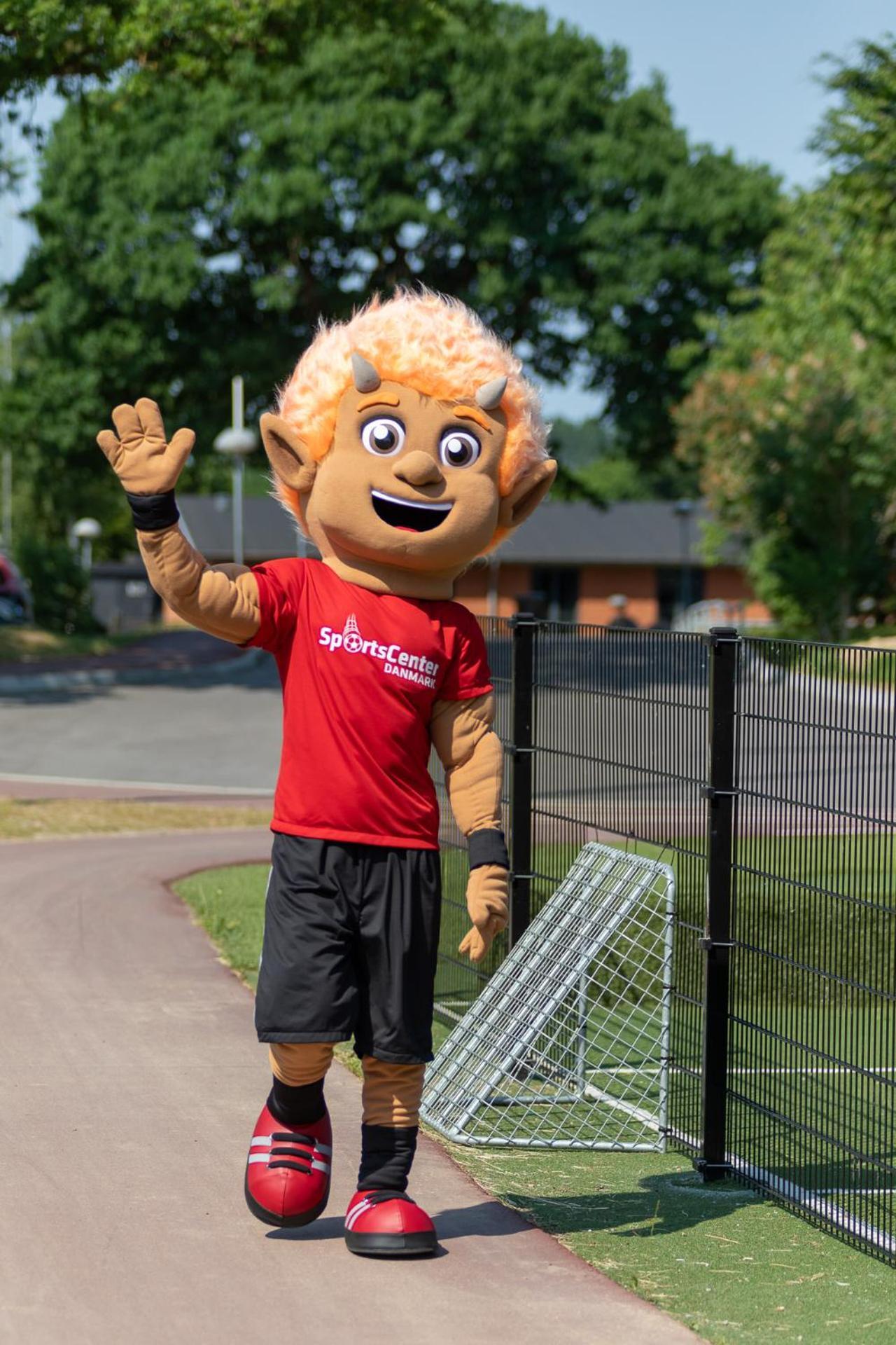 Sportsby Vejen - Danhostel, Huse Og Lejligheder Buitenkant foto